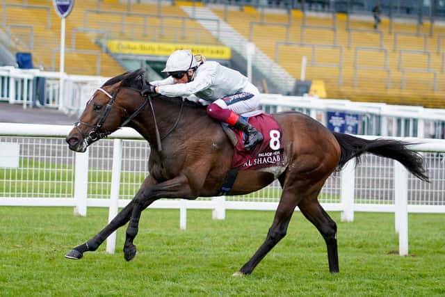 Palace Pier is the odds on favourite to win the Queen Anne Stakes. (Photo by Alan Crowhurst/Getty Images)