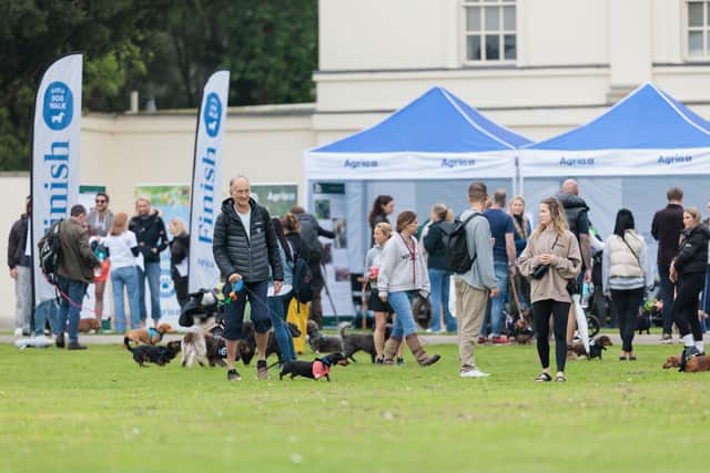 “In 2024, over 1,500 dogs and their families took part, generating an impressive £20,000 in donations to help care for animals in search of their forever homes." - Vicki Wentworth, CEO at Agria Pet Insurance