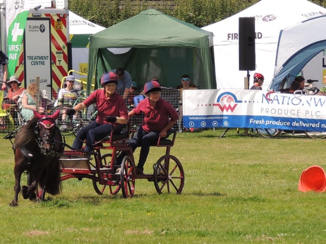 Scurry racing in the main ring on Saturday.