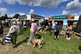 There will be information and a survey of views on the plans for local government restructuring at the NKDC stand at the Heckington Show on July 26-27.