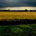 One of Paul's images from Take One a Day.