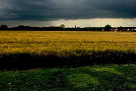 One of Paul's images from Take One a Day.