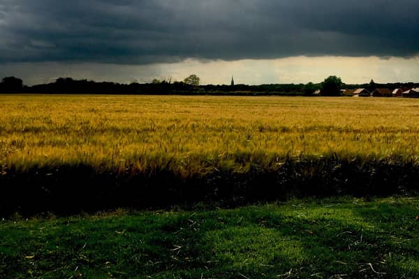 One of Paul's images from Take One a Day.
