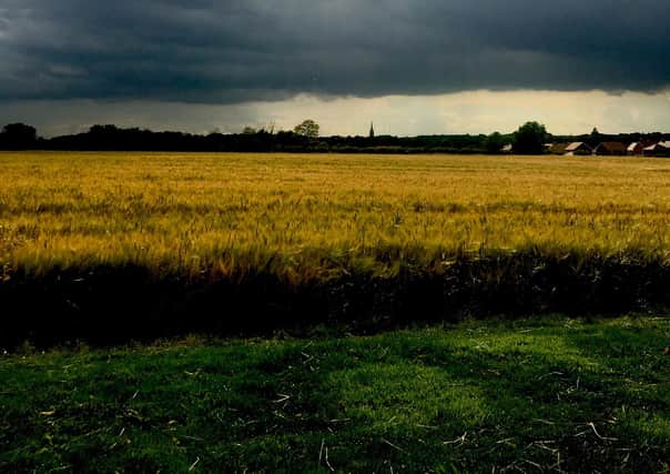 One of Paul's images from Take One a Day.