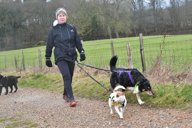 Dogs of all shapes and sizes take part in canicross.