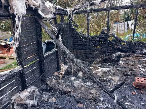 The charred remains of the shed after a fire in which 12 guinea pigs sadly died.