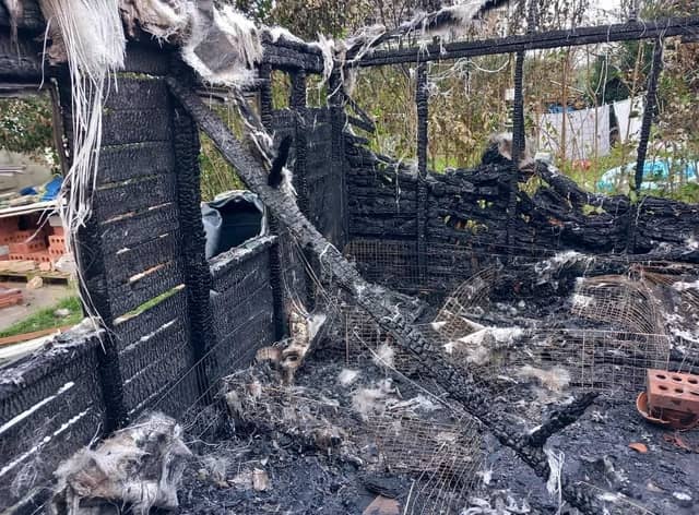 The charred remains of the shed after a fire in which 12 guinea pigs sadly died.