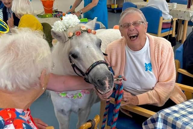 Where did you get that sun hat? Rainbow Dreaming at Skegness Day Centre.