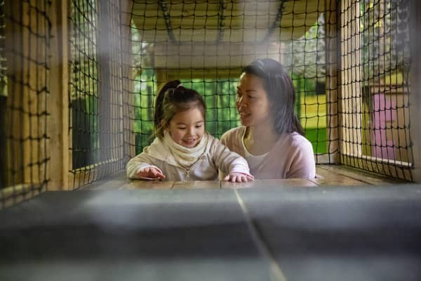 Exploring Belton's indoor play. Photo: National Trust Images and James Dobson