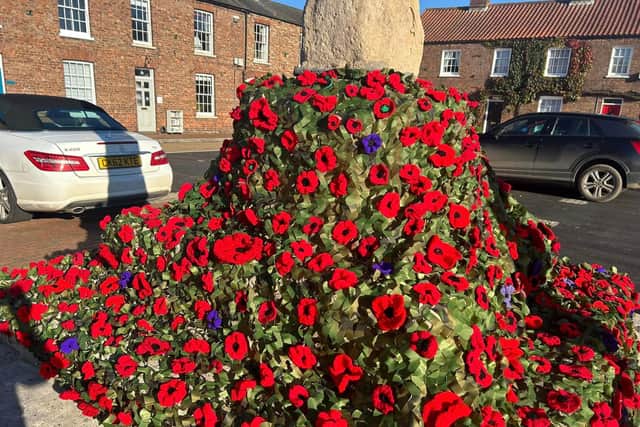 How the poppies looked before they were removed.