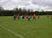ELDC have applied to build 3G pitches on Wood Lane playing field.