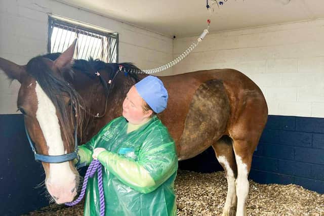 Pippa and Vet at Oakham Equine Hospital