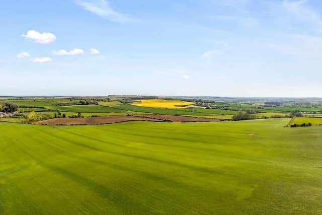 Glebe Farm has a good block of arable land plus livestock pasture and woodland. Photo: Savills