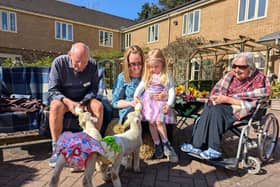 residents and relatives enjoying a visit from the lambs.