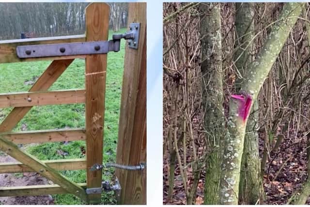 Some of the damage at Witham Way Country Park reported on December 22.
