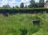 Volunteers are to cut the grass in St Clement's Cemetery after the church could no longer afford to pay for it.