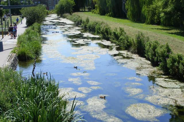 The River Slea in Sleaford. Fishing is banned without permission from the Sleaford Navigation Trust.