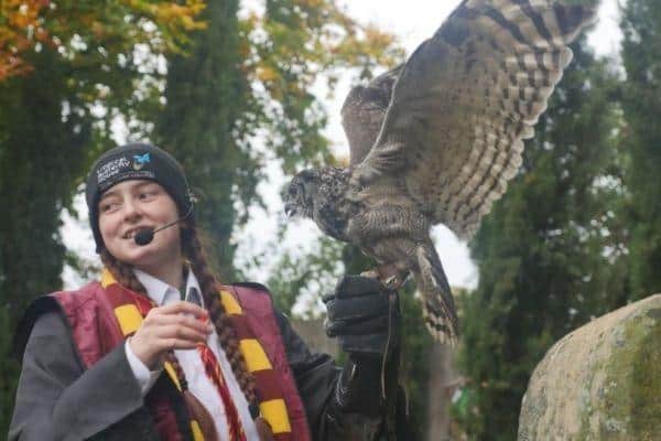 Magical School of Curious Creatures at Tropical Butterfly House