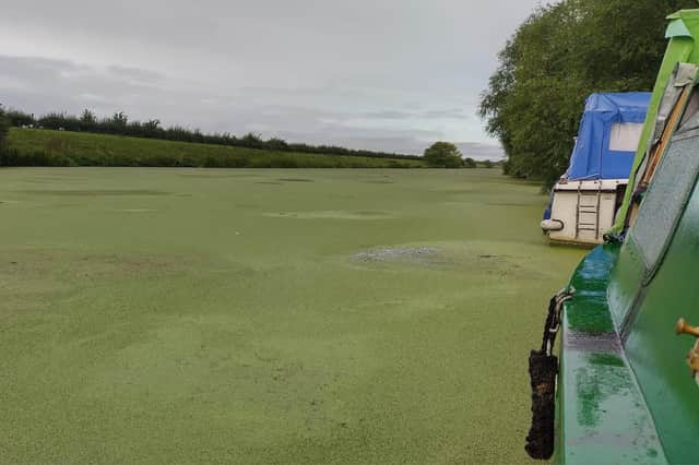 Ray Fisher captured this image of the surface weed at Antons Gowt, near Boston.