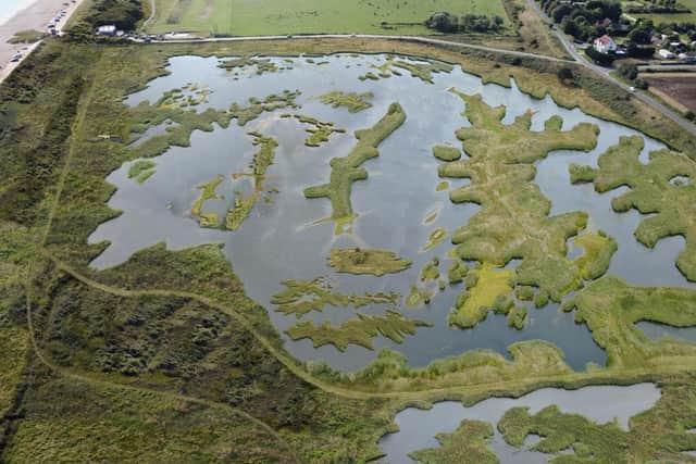 An impression of the wetland habitats created by the project. Image: National Trust, Peter Farmer, Wayne Lagden.