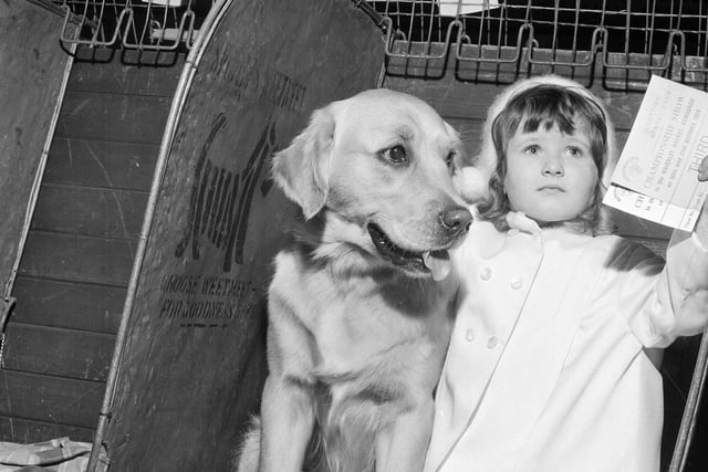 A young owner shows off the third place prize won by her Golden Labrador at the Scottish Kennel Club Championships at Waverley Market in 1964.