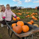 Amber and Arabella Bourne, four, of Louth.