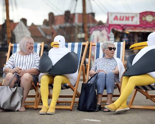 Look out for the giant seagulls! Photo: Dave Charnley Photography