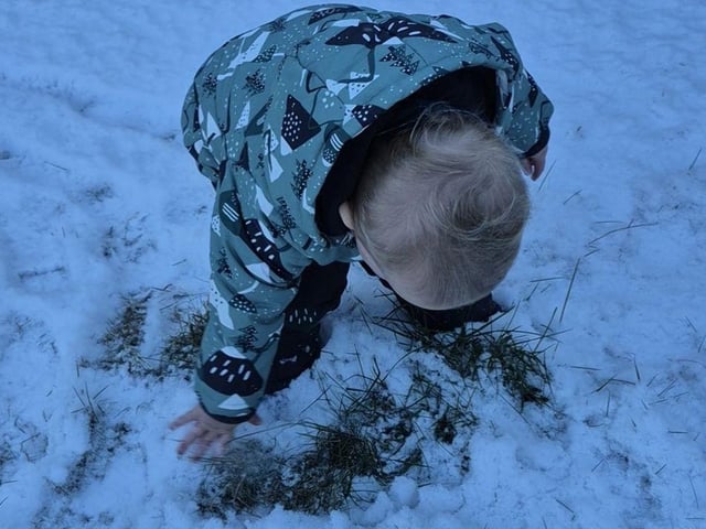 Janine Newstead's two year old experiencing snow for the first time with bare hands. "He was loving life," she said.