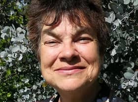 Guest columnist Kate Hull Rodgers.