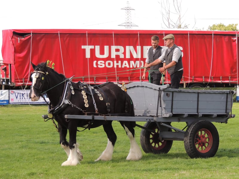 Working horse turnouts in the main ring.