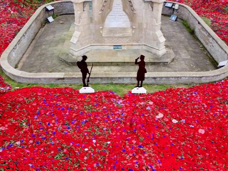 There are some purple poppies amongst the red ones - which honour the animals that served and died in war. Photo by Neil Richardson