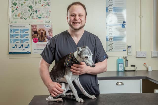 Senior veterinary surgeon and practice founder David Mayhew