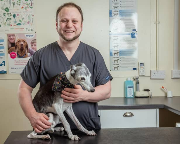 Senior veterinary surgeon and practice founder David Mayhew