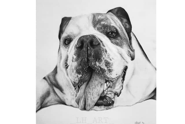 Levi's drawing of a bulldog looks like a photograph, it is so realistic.