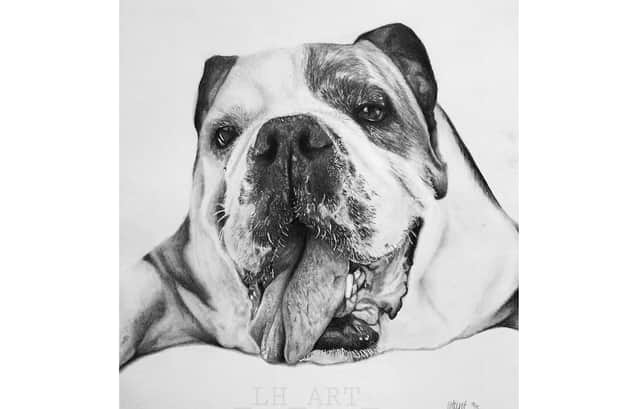 Levi's drawing of a bulldog looks like a photograph, it is so realistic.