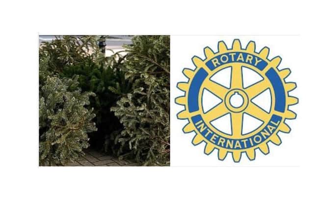 Market Rasen Rotary and Town Council have teamed up for a real Christmas tree collection