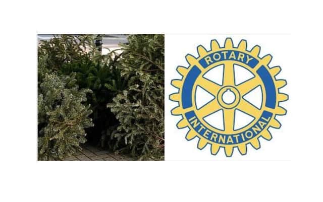 Market Rasen Rotary and Town Council have teamed up for a real Christmas tree collection