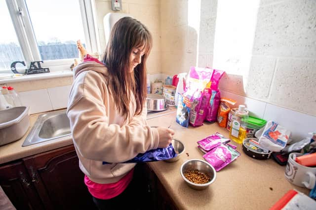 Emma Murphy prepares to feed the Ark's cats.