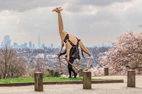 Sebastian Mayer with his cardboard giraffe Zarafa. Photo: Dan Tsantilis