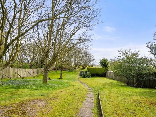 The rear garden.