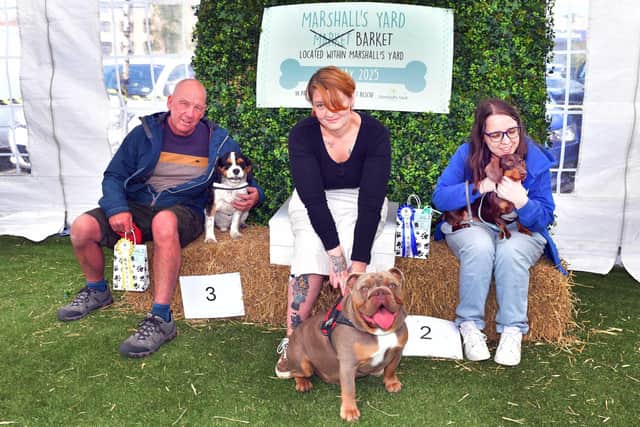 First, second and third place in the Handsome Chap category