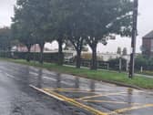 Skegness Town Council have cut the verges since 2017.