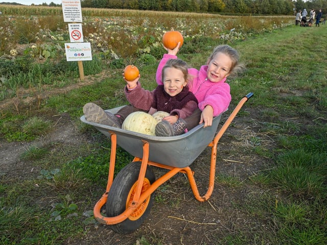 Millen Hiatt, three, and Mallory Hiatt, seven, of Potterhanworth