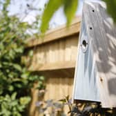 BG - The RSPB's Elegance Nest Box for various small birds