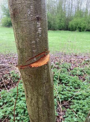 An example of the latest damage done at Witham Way Country Park, Boston. Picture: Boston Borough Council