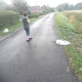 The upsetting sight of another swan flattened on Croft Lane.