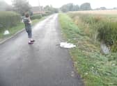 The upsetting sight of another swan flattened on Croft Lane.