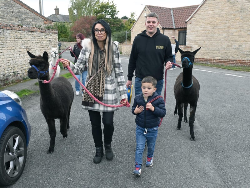 Callum Marshall, Rachel Credland and Tommy Marshall 4 of Metheringham walking alpacas at the fayre and feast.
