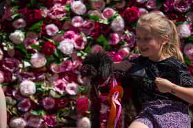 Dog owners are invited to enter their pooches into the ‘Crufts’ like competition