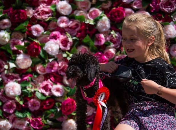 Dog owners are invited to enter their pooches into the ‘Crufts’ like competition